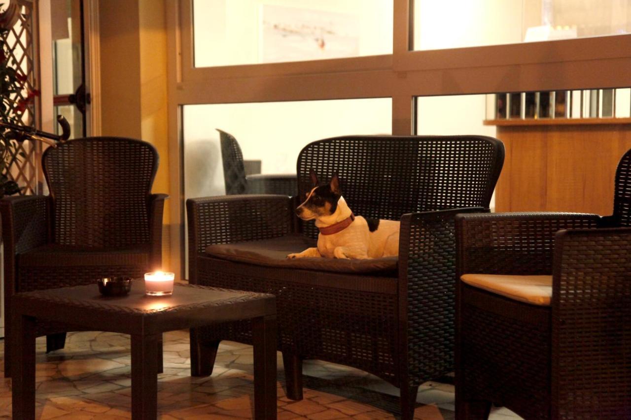 Hotel Alfa Anche In All Inclusive Rimini Zewnętrze zdjęcie