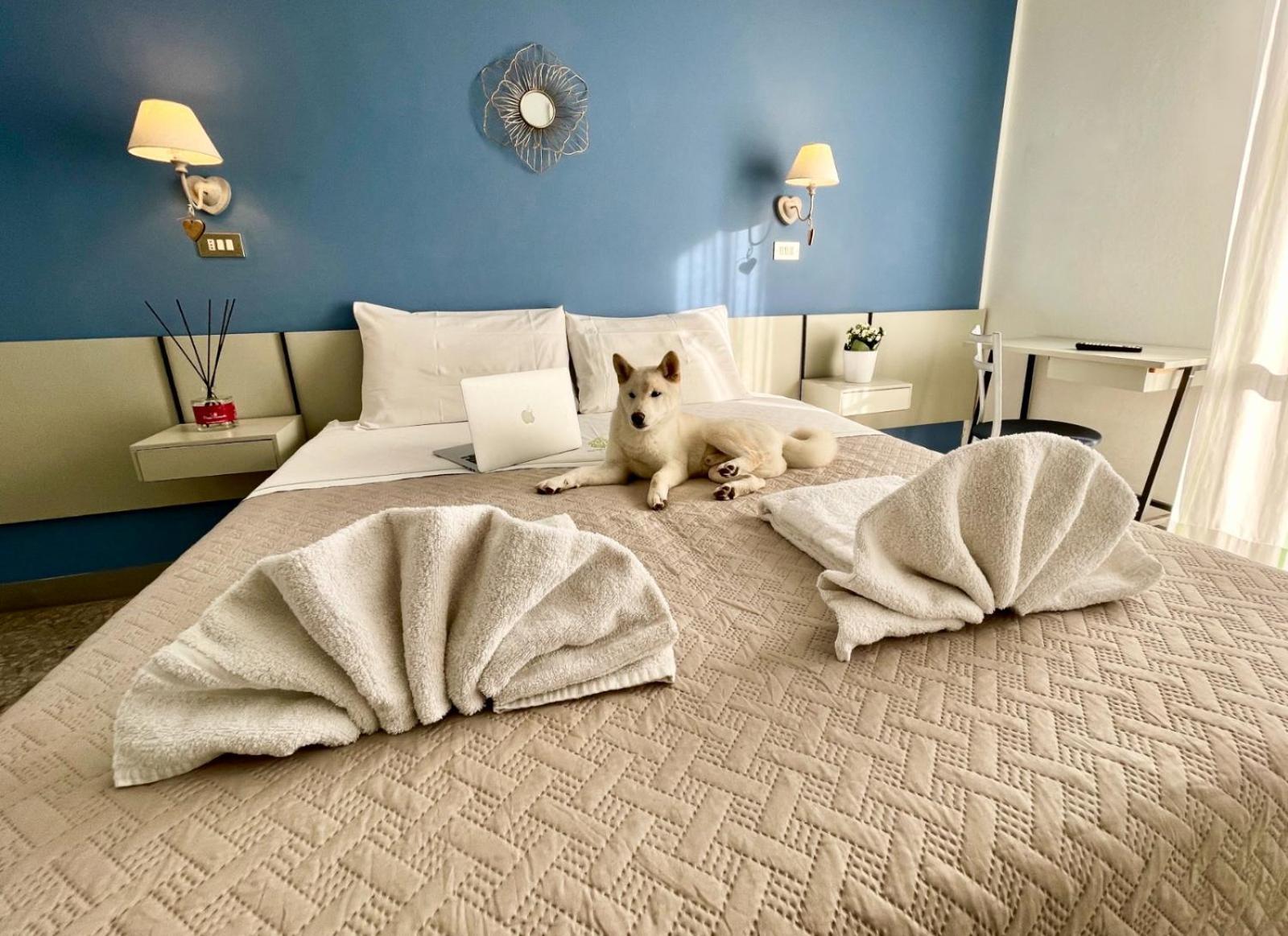 Hotel Alfa Anche In All Inclusive Rimini Zewnętrze zdjęcie