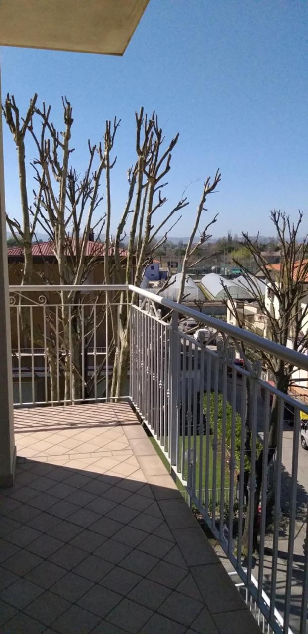 Hotel Alfa Anche In All Inclusive Rimini Zewnętrze zdjęcie